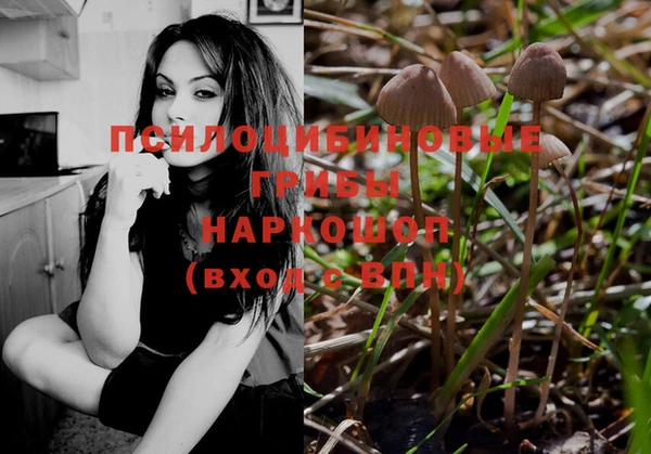 прущие крисы Балахна
