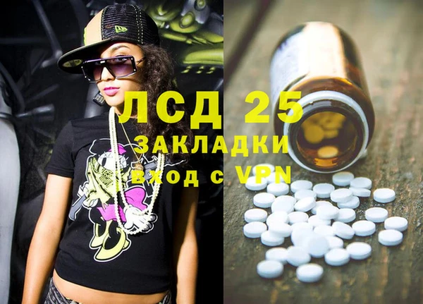 прущие грибы Арсеньев
