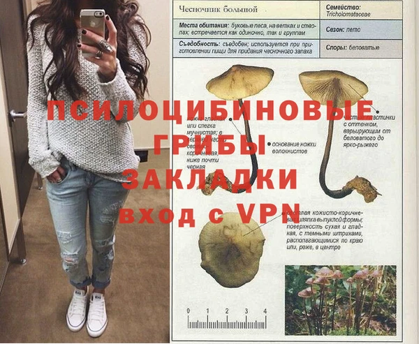 прущие грибы Арсеньев